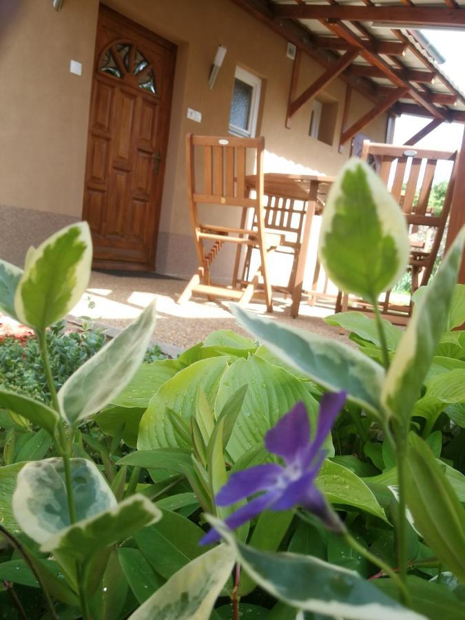 Agnes Vendeghaz Apartment Jula Exterior foto